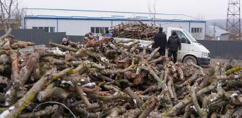 Lemne oferite familiilor nevoiaşe din judeţul Galaţi